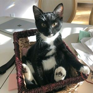 Meet your Posher, Roxanne